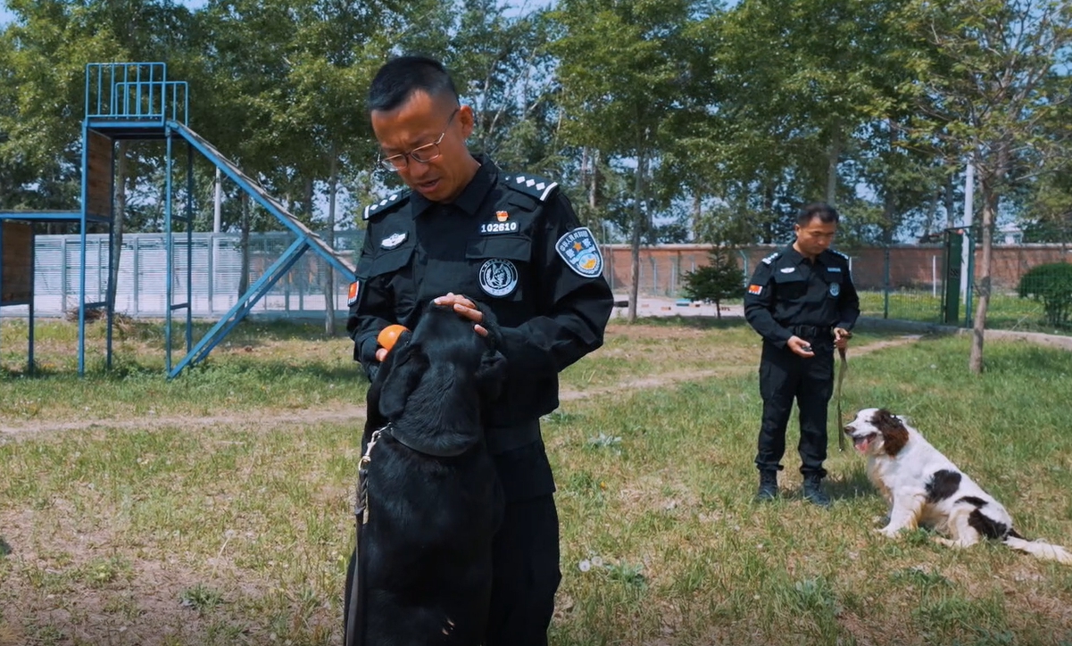  樊巨峰與“無言戰友”的故事故事主人公：長春市公安局刑警支隊六大隊警犬中隊副中隊長 樊巨峰