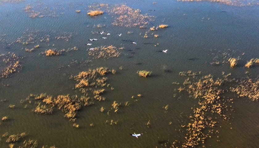 ĪĪ���o�^��Ϣ�İ��Q��