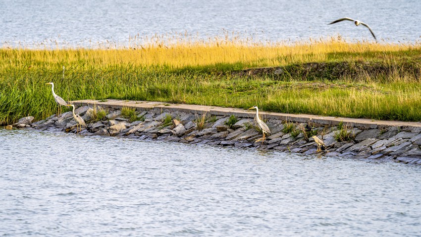 �����B���Ę��@�������Y�����D��