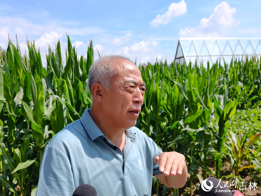 梨樹縣農技推廣總站站長王貴滿。人民網 李洋攝