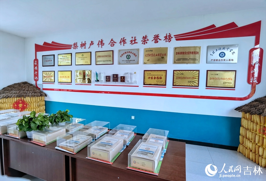 梨樹縣盧偉農機農民專業合作社。人民網 李洋攝