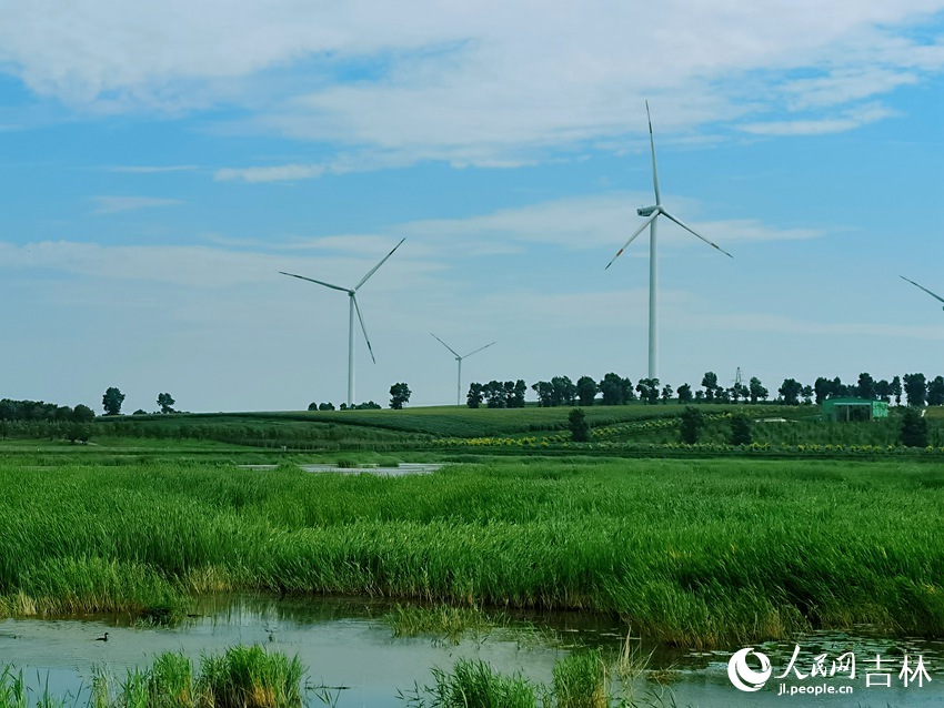 風力發電機猶如“大風車”般不停轉動。人民網 王海躍攝