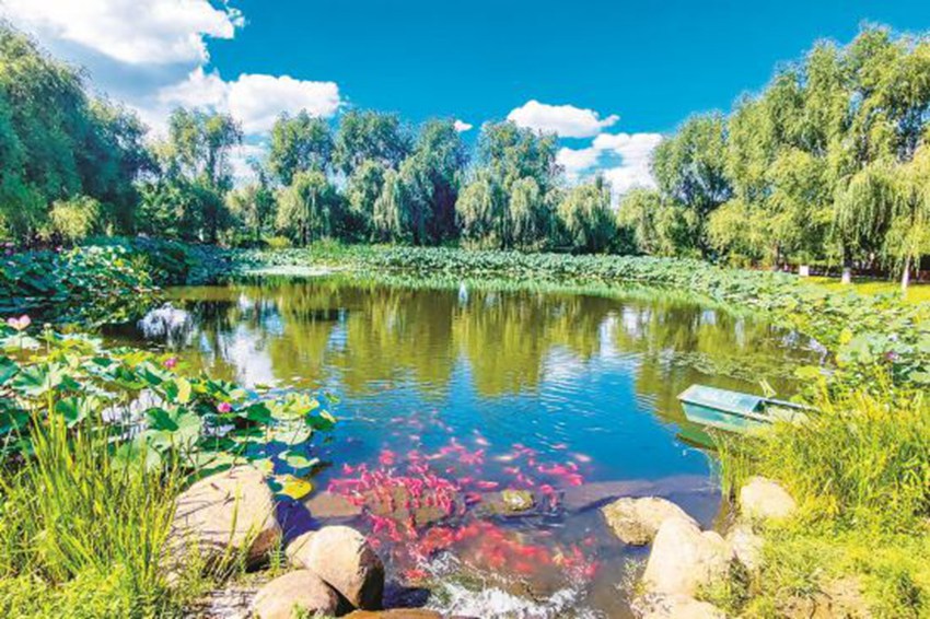 長春：打造人與自然和諧共生的生態環境