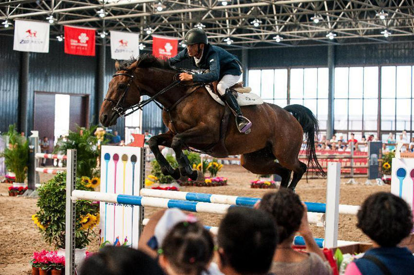 全國馬術場地障礙賽。