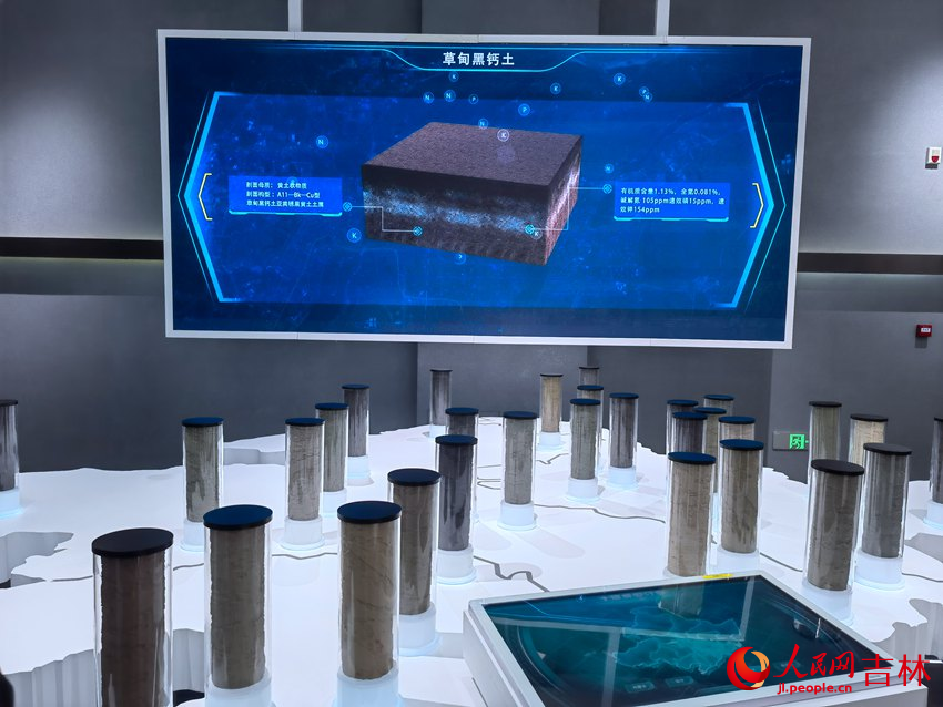 不同地區的土壤樣本展示。人民網 馬俊華攝