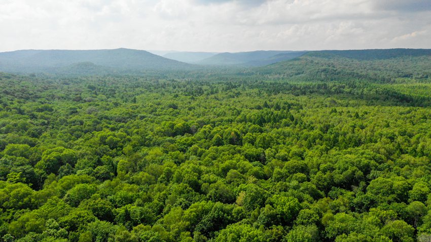 資料圖片。（趙冷冰 攝）