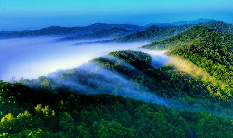 靖宇延綿不斷的綠色山脈。