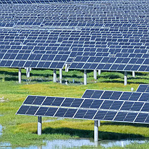 白城：風勁好揚帆，奮進正當時！