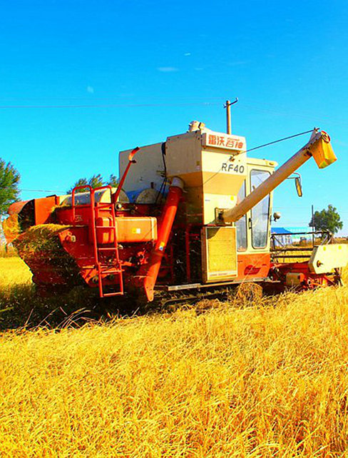 松原市寧江區：堅定信心謀發展 奮楫篤行開新局