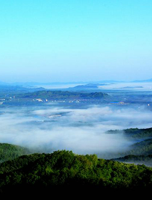 靖宇：鉚足干勁起好步 綠色轉型開新局