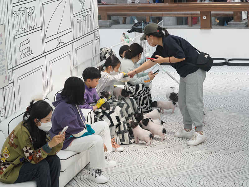游客解鎖新奇的萌寵體驗。人民網李洋攝
