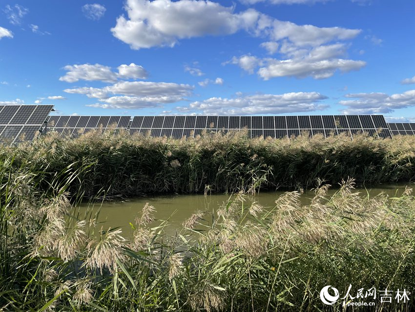 松原市“漁光互補”建設項目（資料圖片）。人民網 李思玥攝