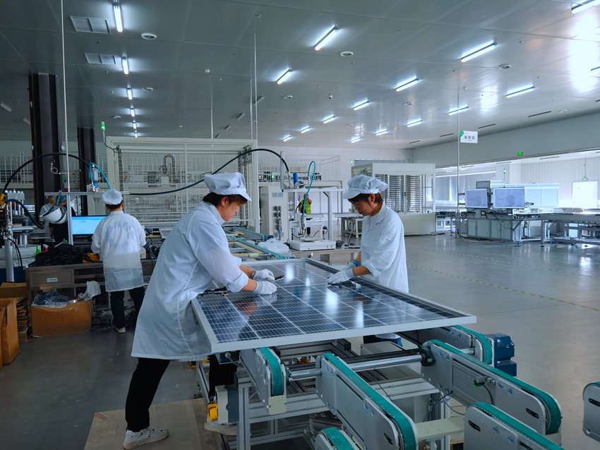 松原市新能光伏科技有限公司光伏組件生產線。（受訪者供圖）