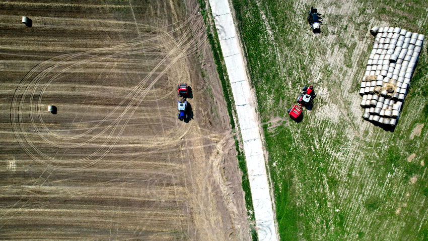 麥子成熟獲豐收。（白城市委宣傳部供圖）