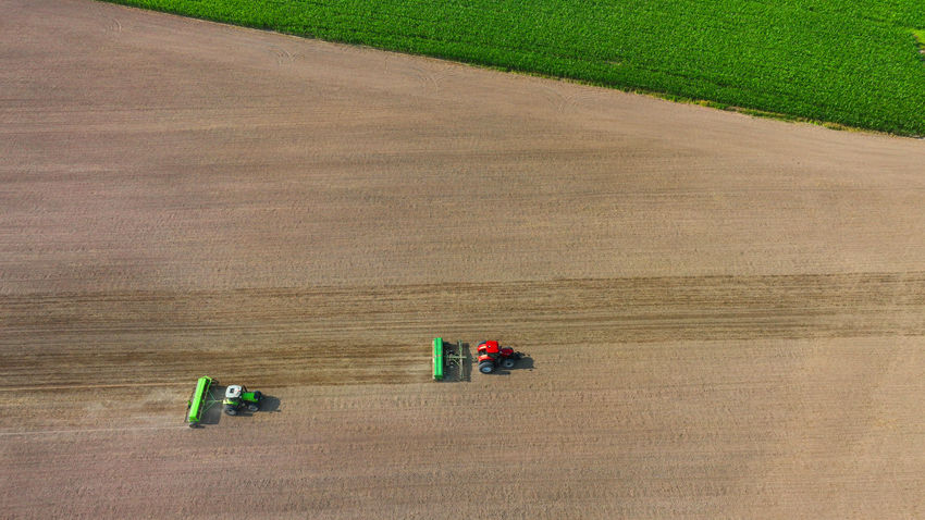 洮南小冰麥開鐮收割。邱會寧 攝