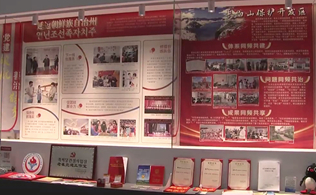 吉林省黨建引領基層治理成果展開展