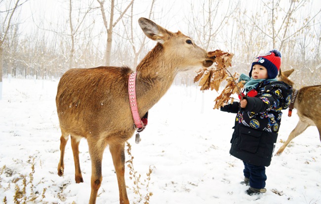 （東豐縣委宣傳部供圖 黃杰 攝）