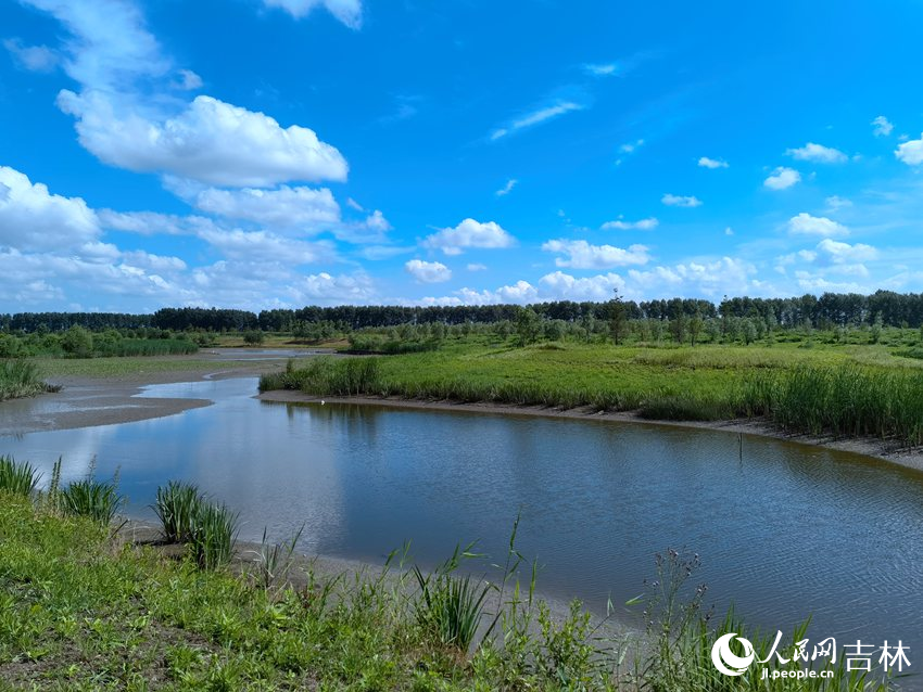 水清岸綠景色美。人民網記者 馬俊華攝