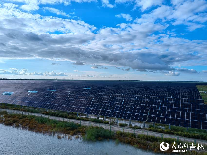 大安市新平安鎮的45兆瓦“新能源鄉村振興工程”項目。人民網記者 馬俊華攝