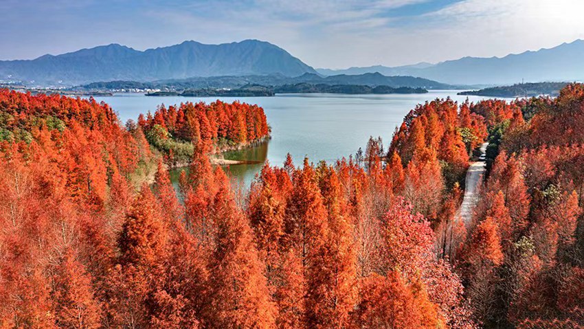黃山美景。（黃山市供圖）