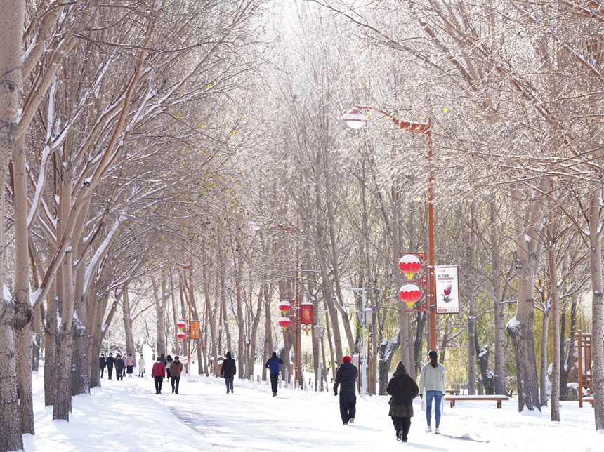 大雪過后，人們紛紛走出家門欣賞美景。人民網記者 李洋攝