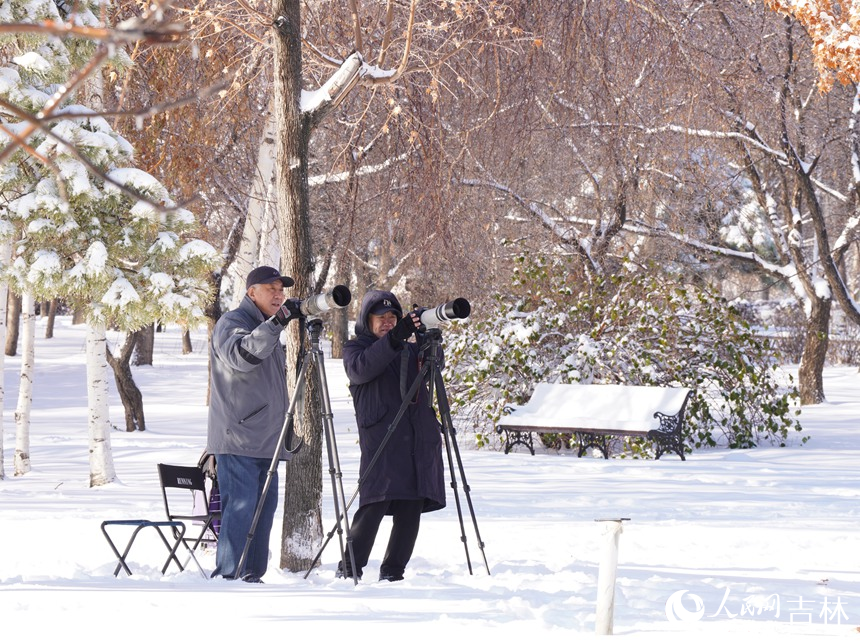 大雪過后，人們紛紛走出家門，用相機記錄下這難得的美景。人民網記者 李洋攝