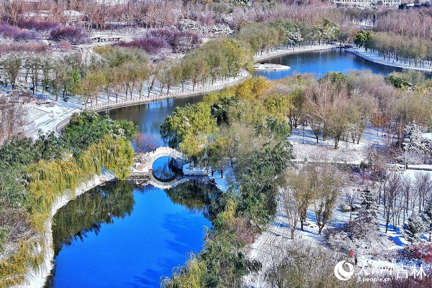 雪后長春，美景如畫。人民網記者 李洋攝