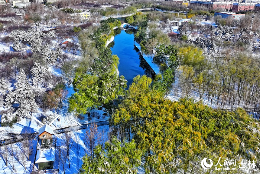 雪后長春，美景如畫。人民網記者 李成偉攝