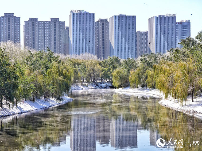 雪后長春，美景如畫。人民網記者 李洋攝