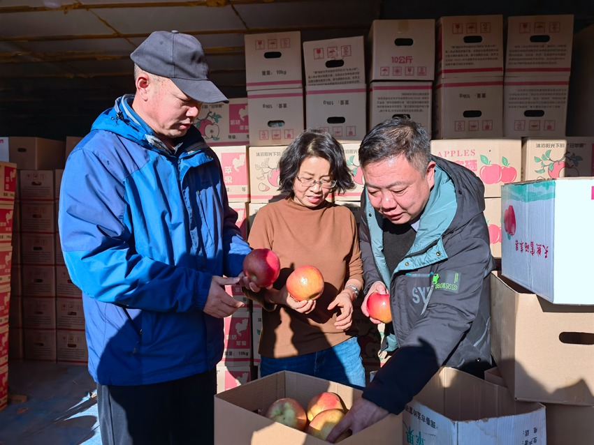 李小春（左一）與高明賢（右一）幫助果農挑果。人民網記者 馬俊華攝