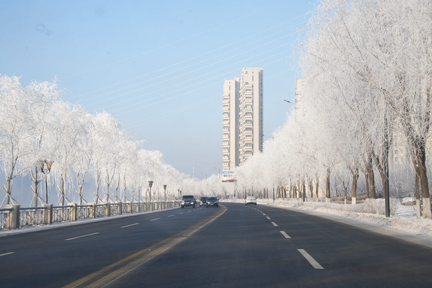 近日，吉林市迎來多場星級霧凇景觀。人民網記者 李洋攝