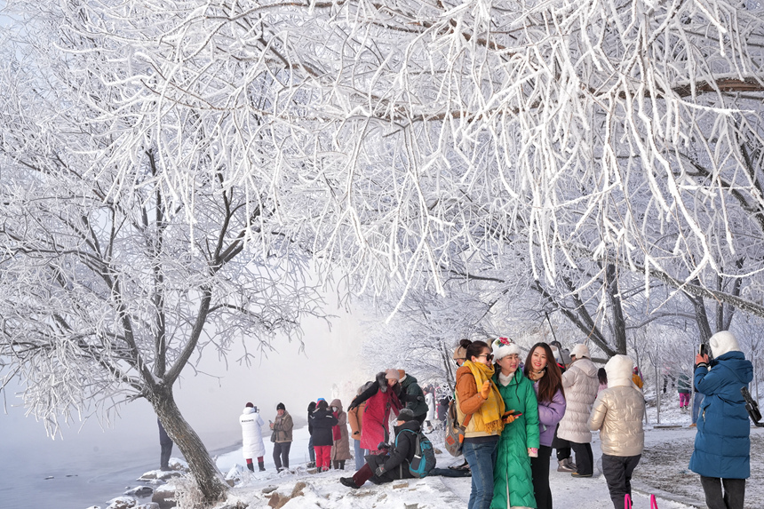 近日，吉林市迎來多場星級霧凇景觀。人民網記者 李洋攝