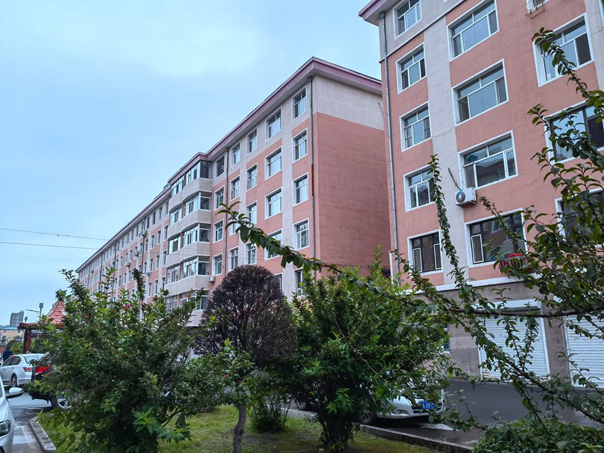 和平小區綠化全民提升。人民網記者 馬俊華攝