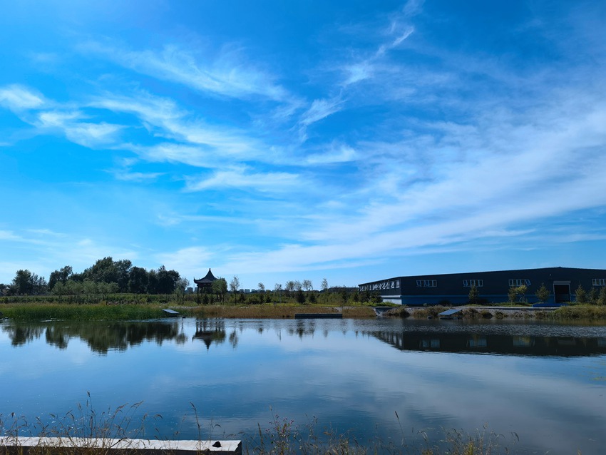 水清岸綠景美。人民網記者 馬俊華攝