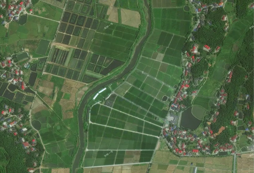 衛星影像截圖。