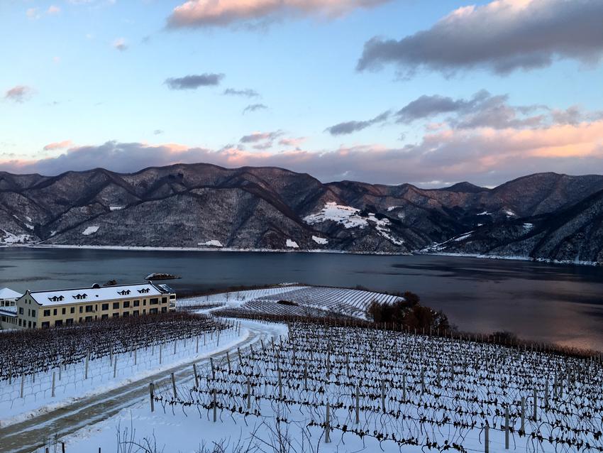 鴨綠江河谷產區。通化宣傳部供圖