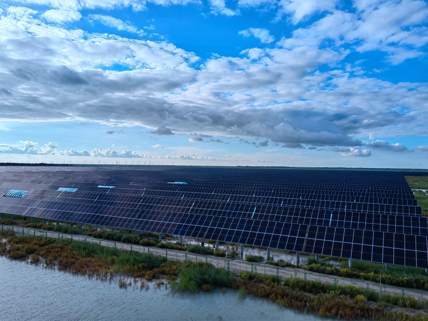 光伏發電板集中連片。人民網記者 馬俊華攝