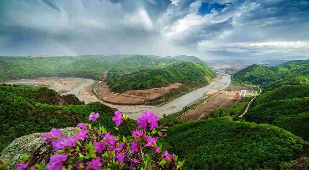 春日花正好(圖片來源:圖們發布)
