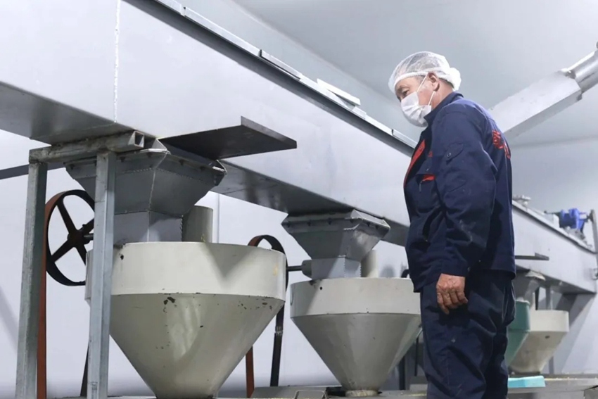 范家屯鎮乾程農民專業合作社的生產車間，工人在生產線上操作大豆經過清選、壓榨等工序