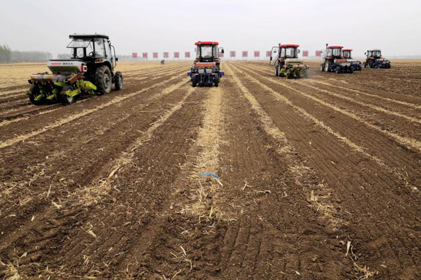 梨樹縣備春耕進行時。李坤攝