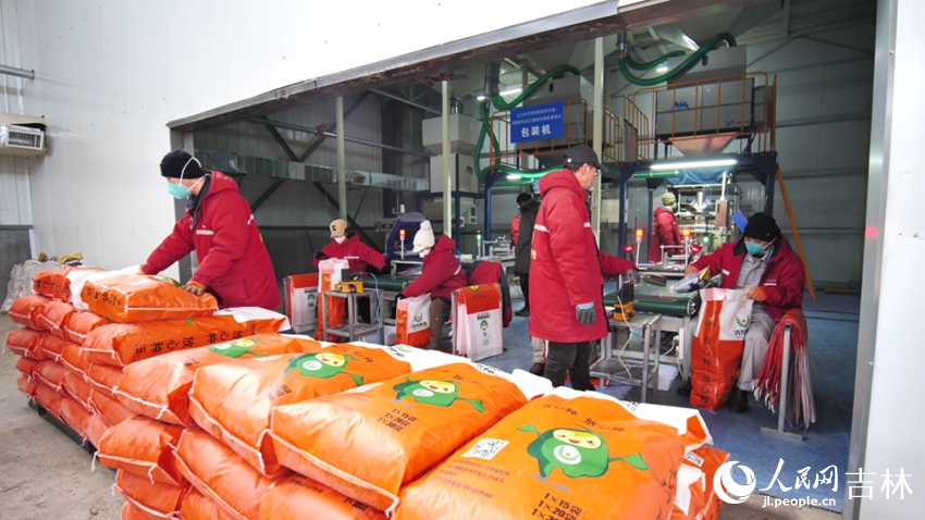 鴻翔種業有限公司種子加工流水作業一氣呵成。人民網記者 王海躍攝