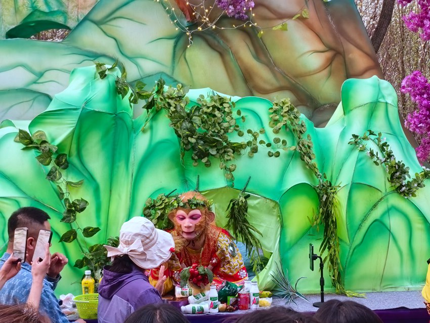 “雪餅猴”成為長春動植物公園的“明星”。人民網記者 王海躍攝