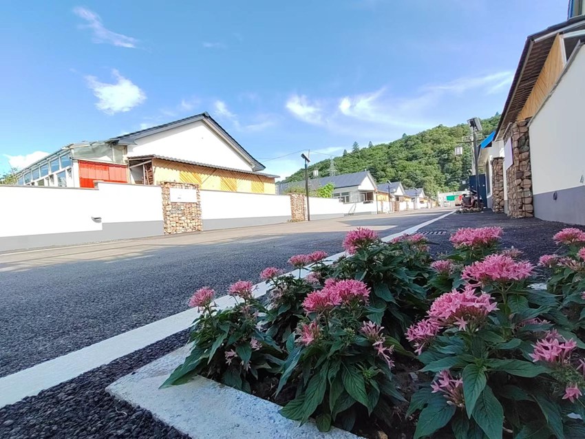 靖宇縣花園口鎮鄉村振興示范區