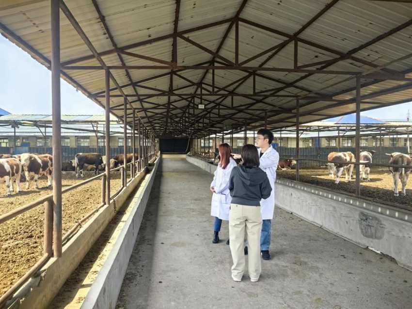 吉林九臺肉?？萍夹≡?。（吉林九臺肉?？萍夹≡汗﹫D）