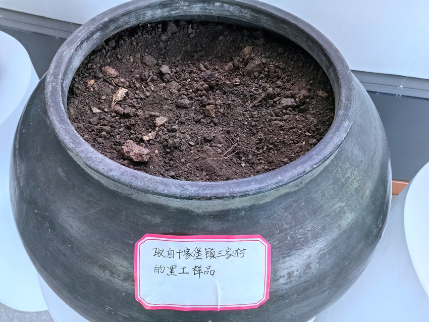 中國黑土地博物院陳列的黑土樣品。人民網記者 王海躍攝