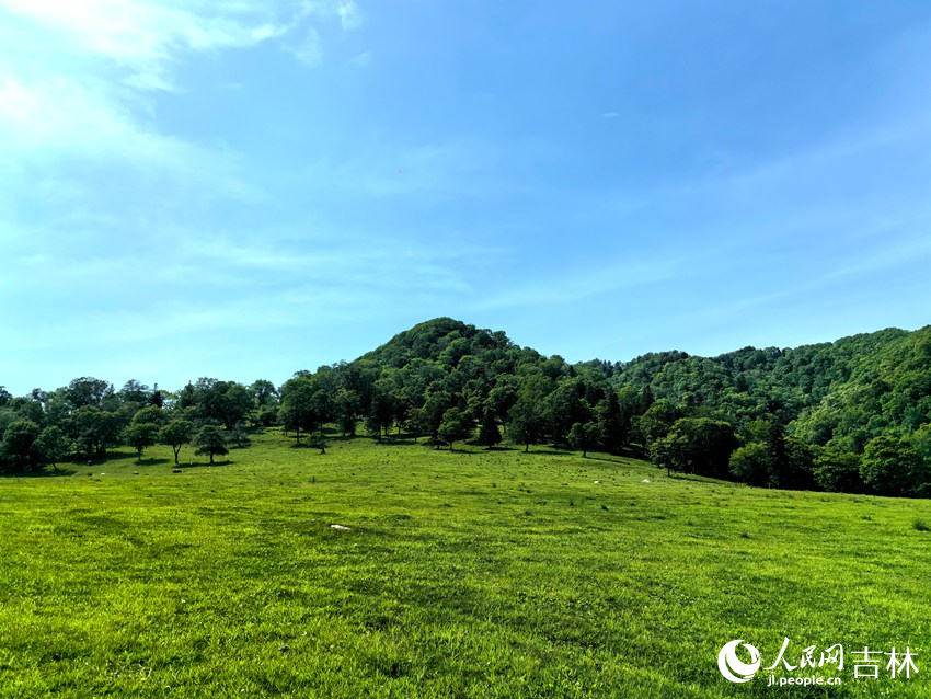 在臨江市群山深處，溪谷高山草原讓人驚嘆。人民網記者 王海躍攝