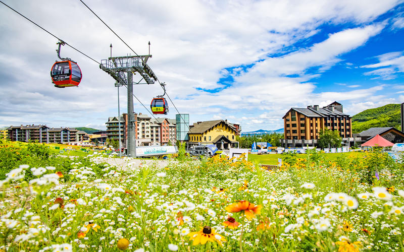 萬科松花湖滑雪度假區高山花海。