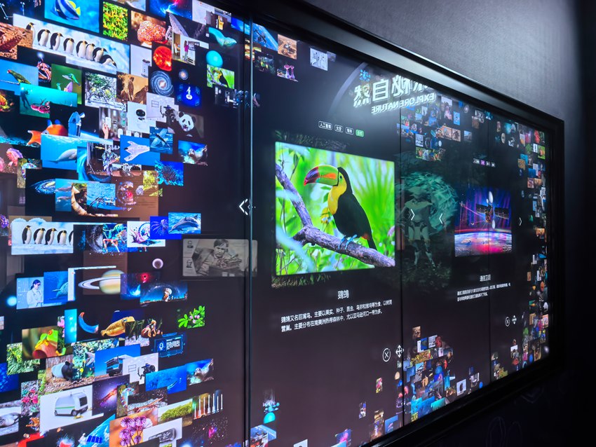 時空旅程（長春）人工智能科技研學體驗館內場景。人民網記者 王海躍攝