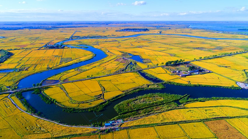 鎮賚成為吉林省最大的水稻生產縣。潘晟昱攝