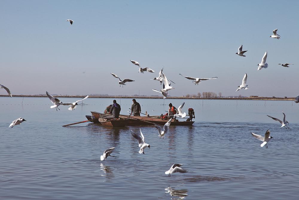 北方漁島哈爾淖漁業生產既是綠色經濟也是旅游資源。潘晟昱攝